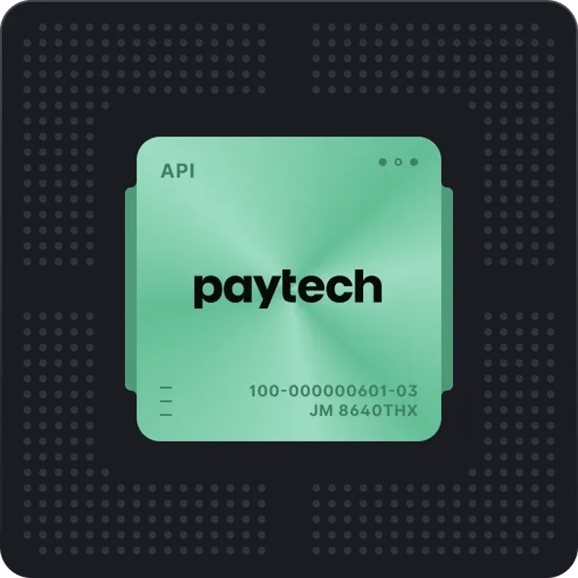 Paytech api chip